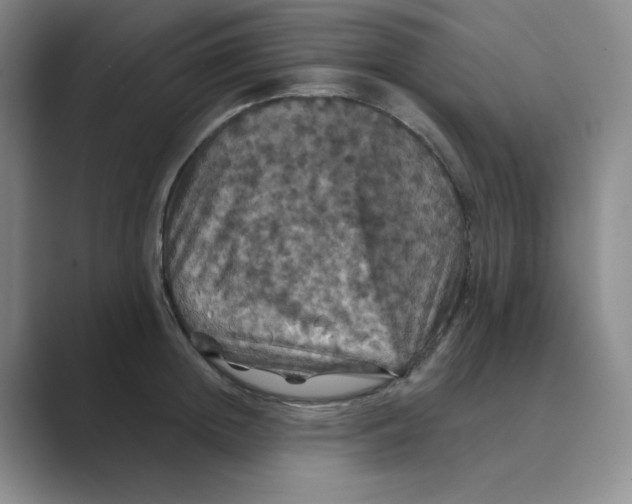 X0000088690852200706282001