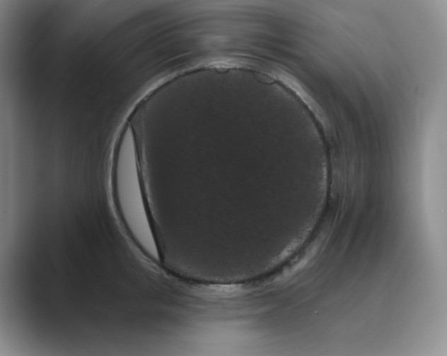 X0000088690853200706282001