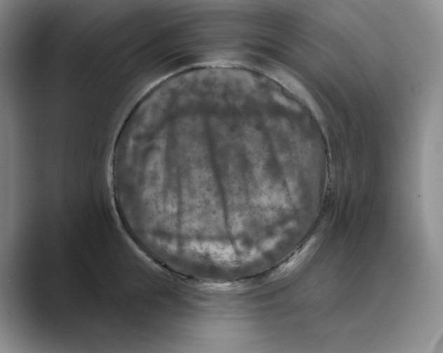 X0000088690855200706282001