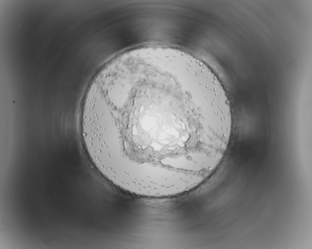 X0000088690856200706282001
