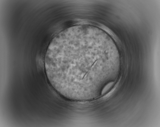 X0000088690857200706282001
