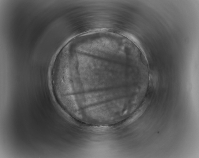 X0000088690859200706282001