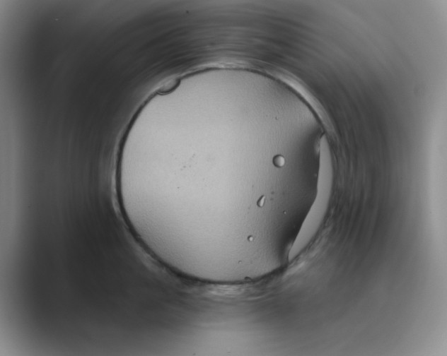 X0000088690861200706282001