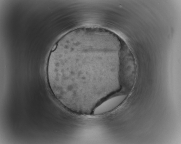 X0000088690864200706282001