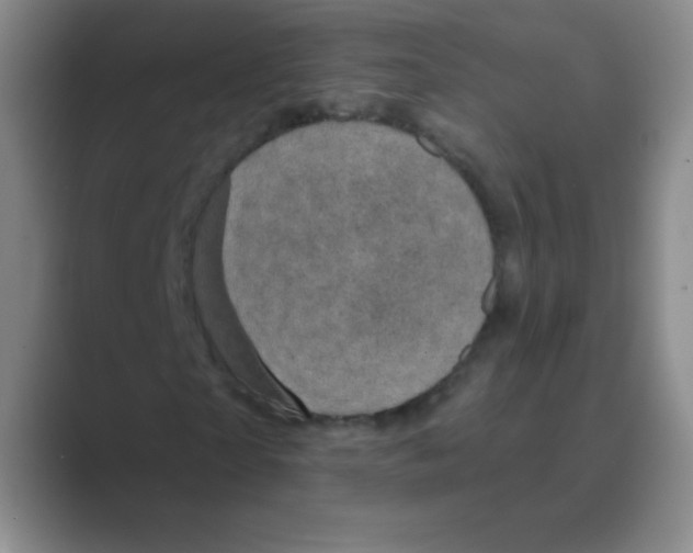 X0000088690865200706282000