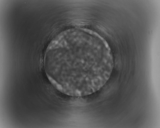 X0000088690866200706282000