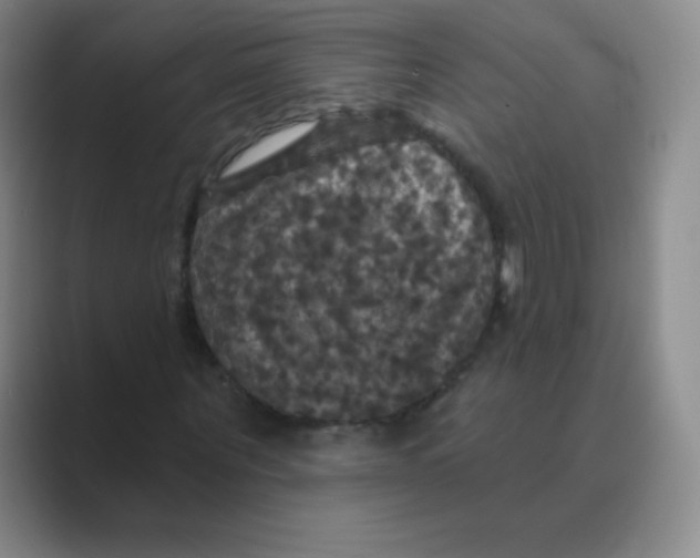 X0000088690867200706282000