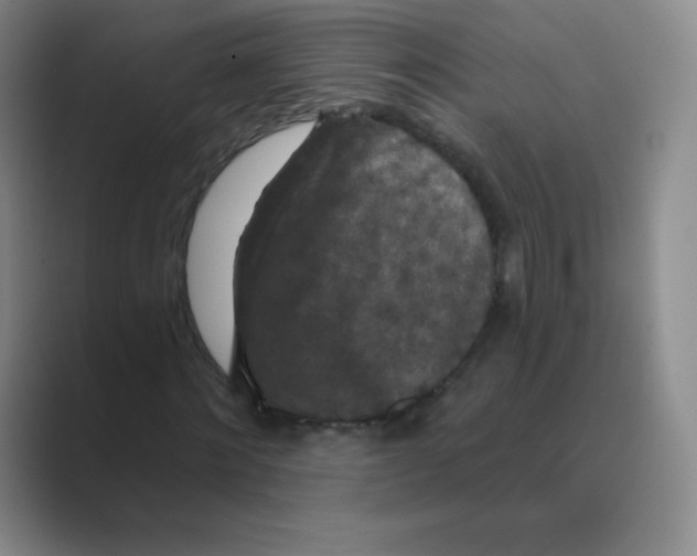 X0000088690868200706282000