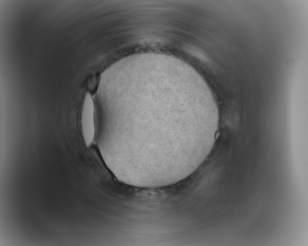X0000088690869200706282000