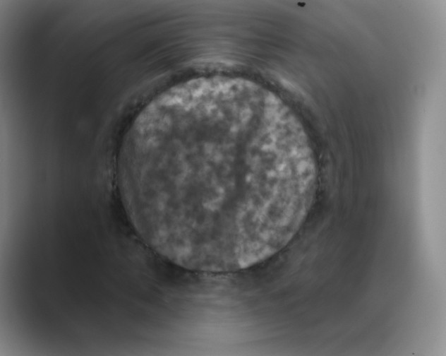 X0000088690870200706282000