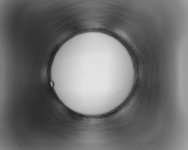 X0000088690873200706282000