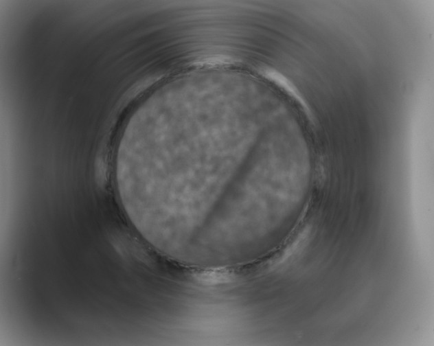 X0000088690874200706282000