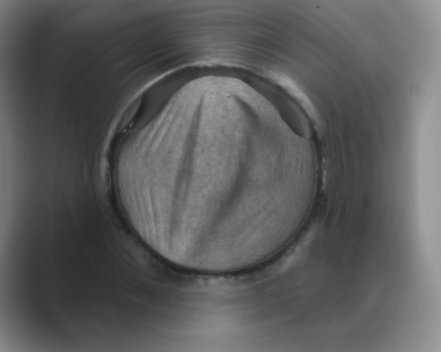 X0000088690876200706282000