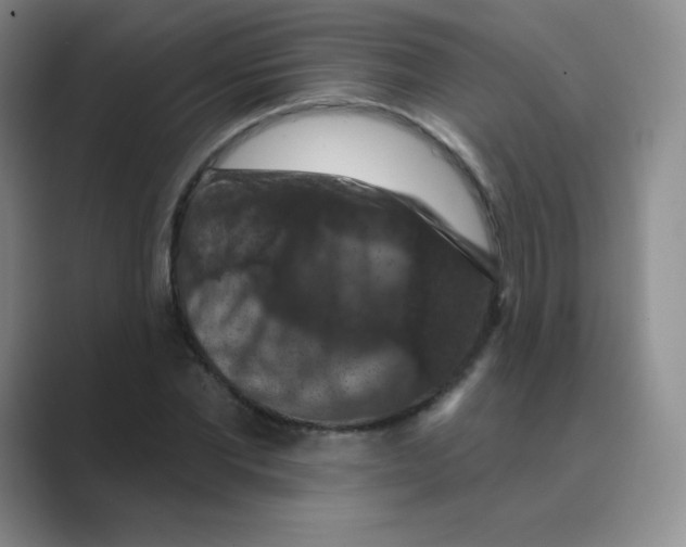 X0000088690877200706282000