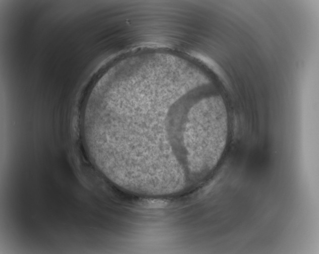 X0000088690878200706282000