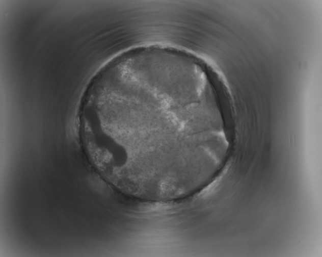 X0000088690879200706282000