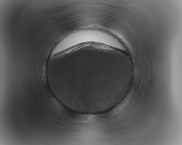 X0000088690881200706282000