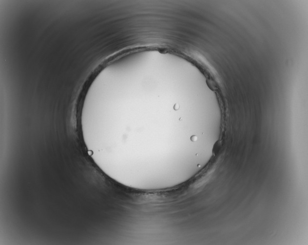 X0000088690883200706282000