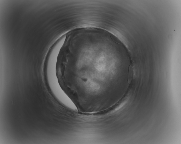 X0000088690885200706282000