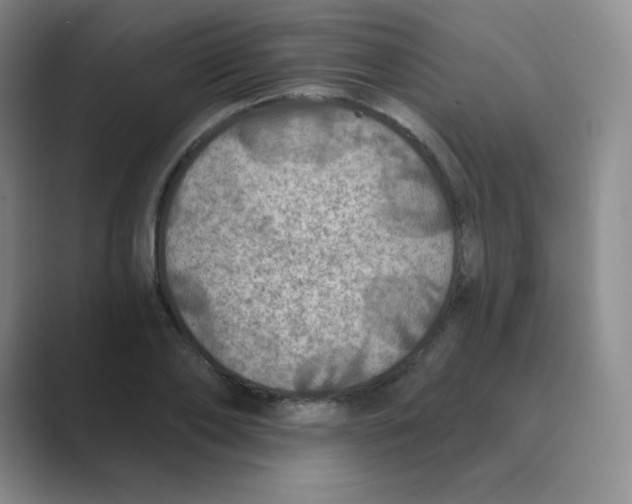 X0000088690886200706282000