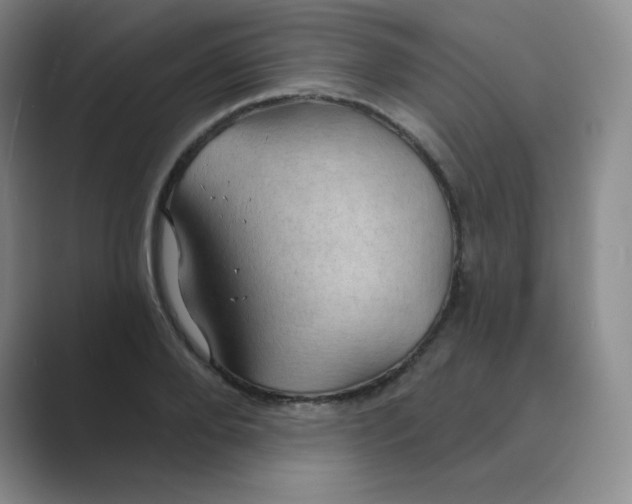 X0000088690888200706282000