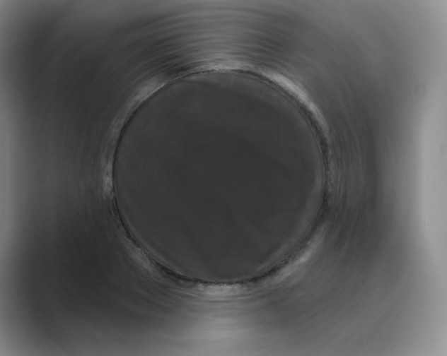 X0000088690889200706282000