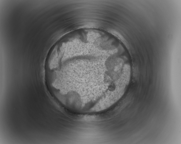 X0000088690890200706282000