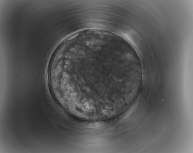 X0000088690891200706282000
