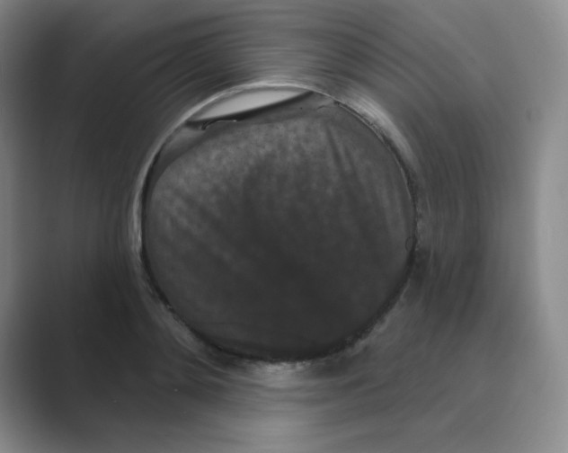 X0000088690892200706282000