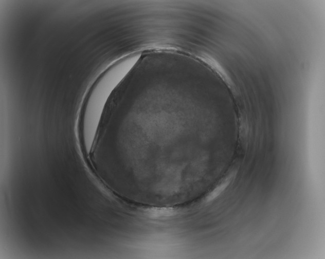 X0000088690893200706282000