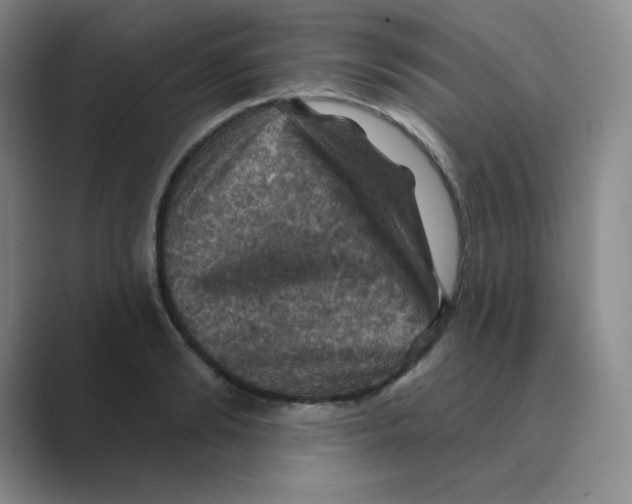 X0000088690894200706282000