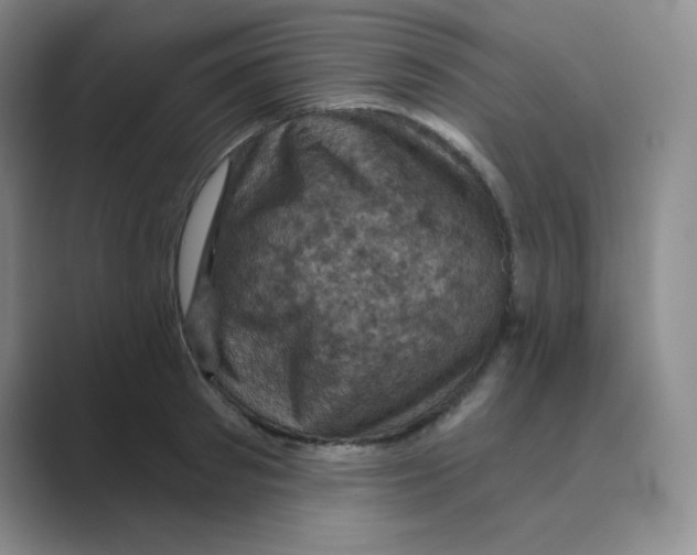 X0000088690897200706282000