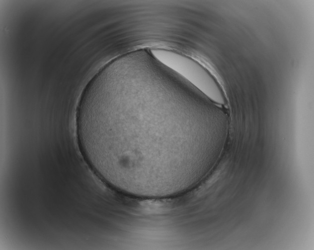 X0000088690898200706282000