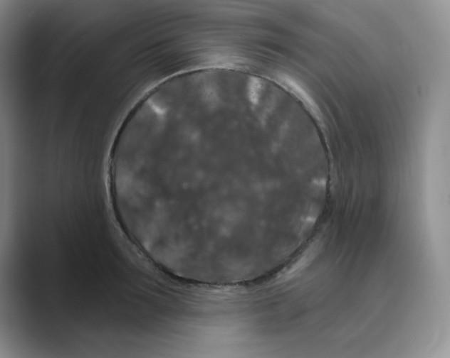 X0000088690899200706282000