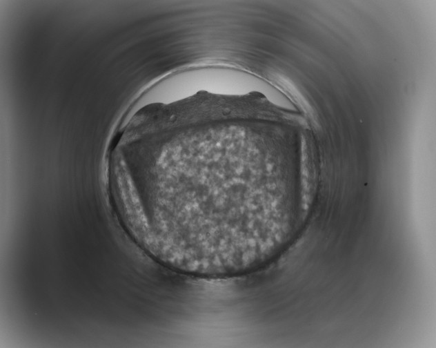 X0000088690900200706282000