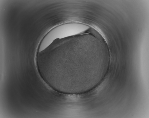X0000088690901200706282000