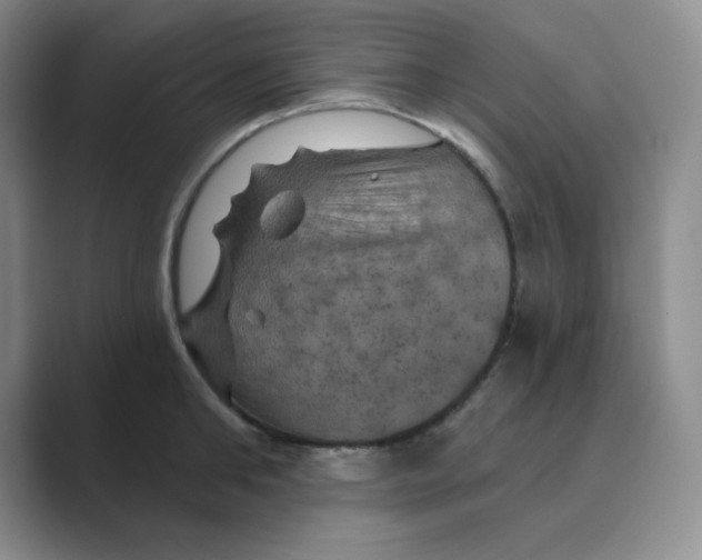 X0000088690902200706282000