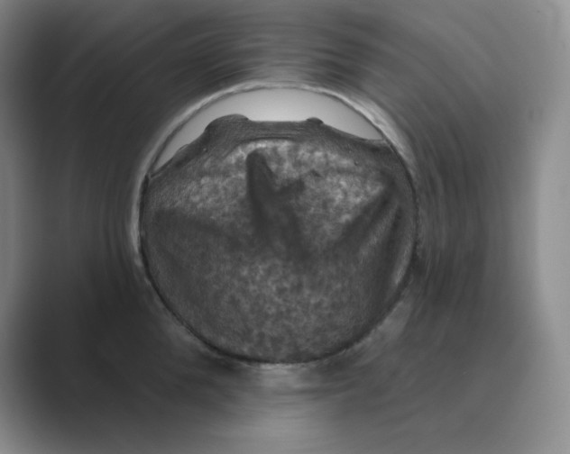 X0000088690904200706282000