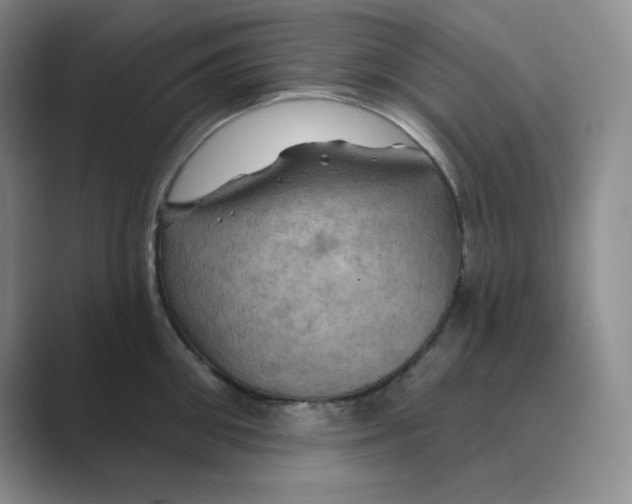 X0000088690906200706282000