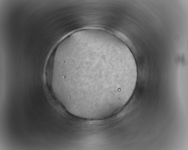 X0000088690908200706282000