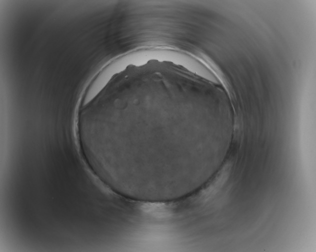 X0000088690909200706282000
