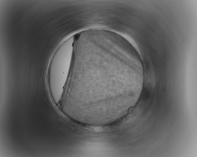 X0000088690911200706282000
