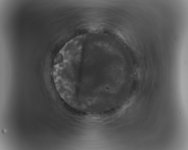 X0000088690913200706281959