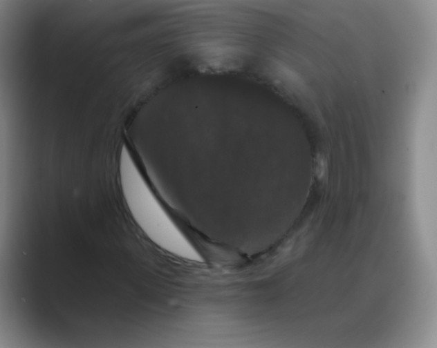 X0000088690915200706281959