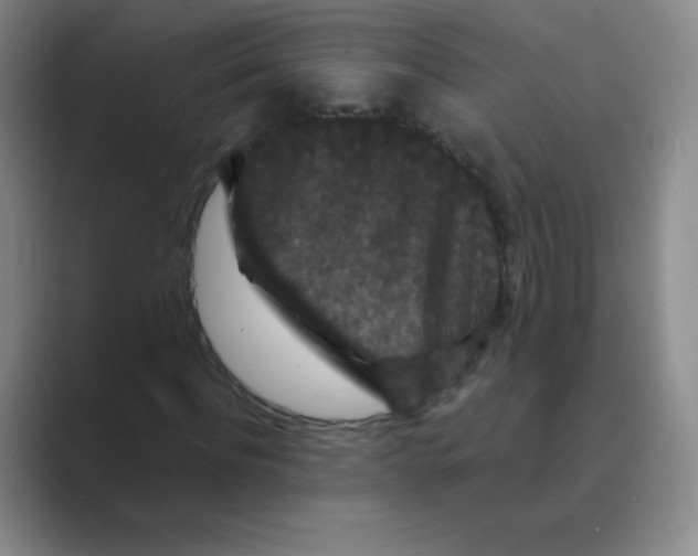 X0000088690916200706281959