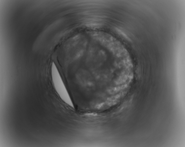 X0000088690917200706281959