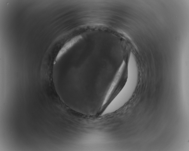 X0000088690919200706281959