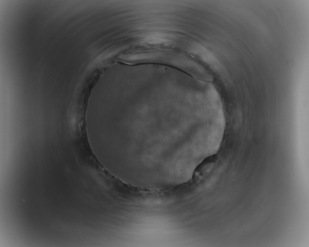 X0000088690920200706281959