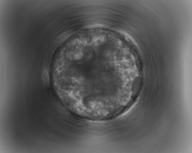 X0000088690921200706281959