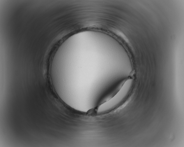X0000088690922200706281959